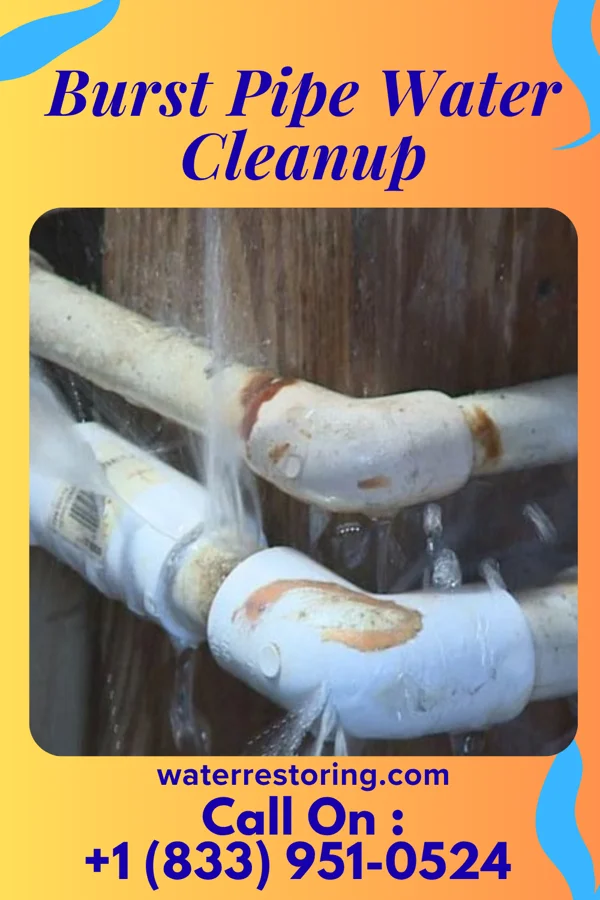 Burst Pipe Water Cleanup in Cherry Hill, VA