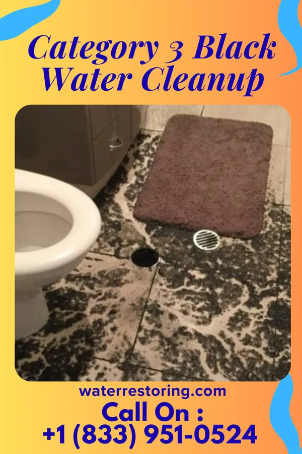 Category 3 Black Water Cleanup in Cherry Hill, VA