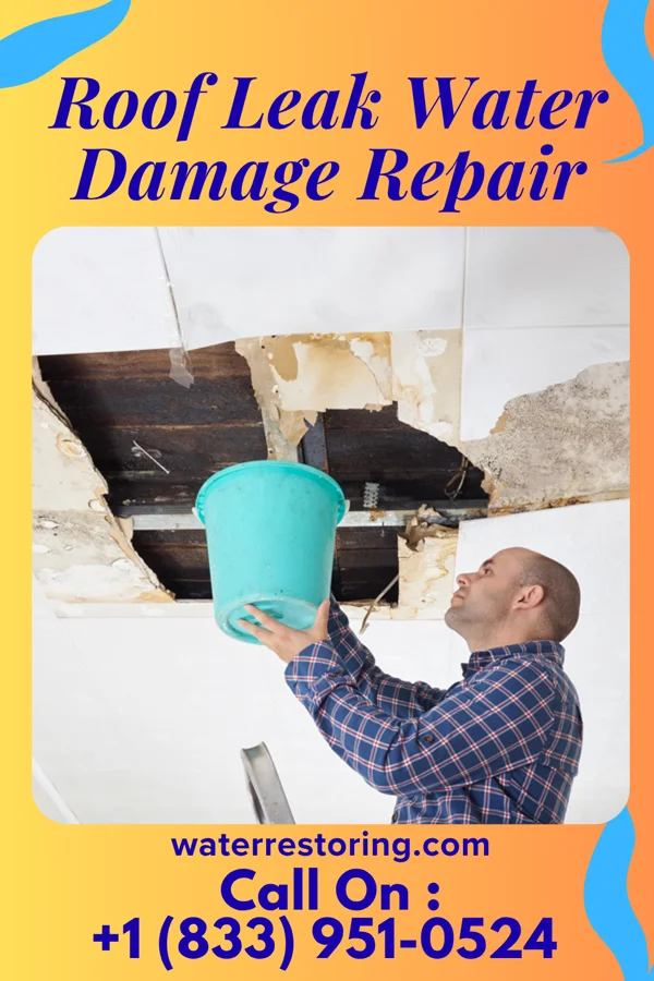Roof Leak Water Damage Repair in Cherry Hill, VA