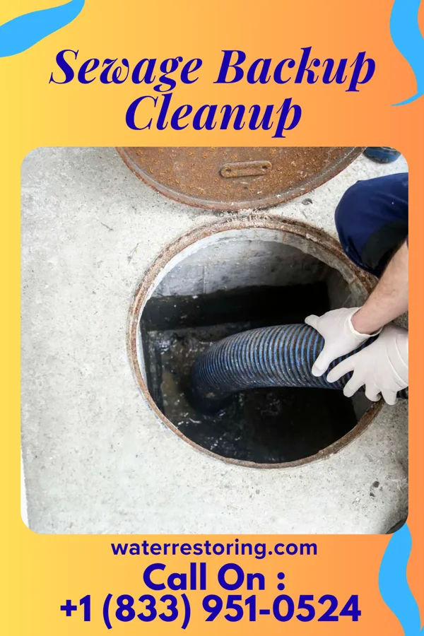 Sewage Backup Cleanup in Cherry Hill, VA