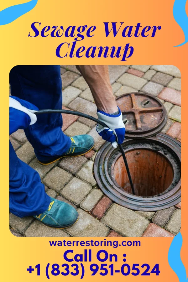Sewage Water Cleanup in Cherry Hill, VA