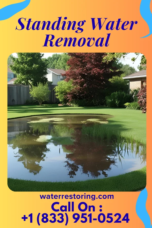 Standing Water Removal in Cherry Hill, VA